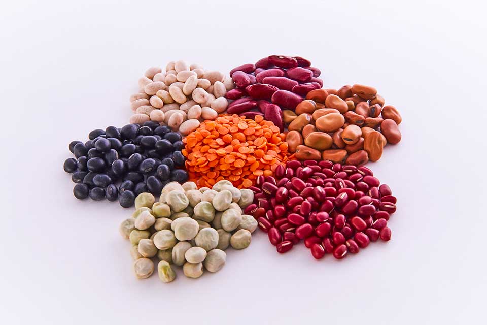 Miscellaneous beans