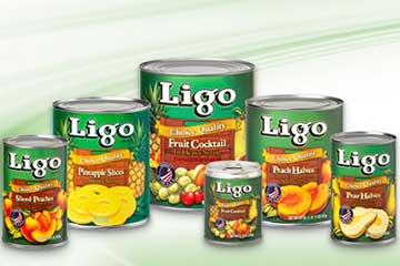 LIGO cans